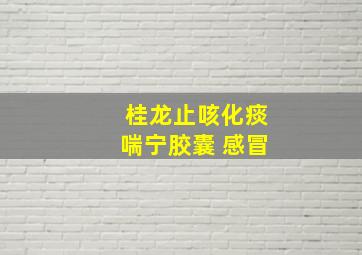 桂龙止咳化痰喘宁胶囊 感冒